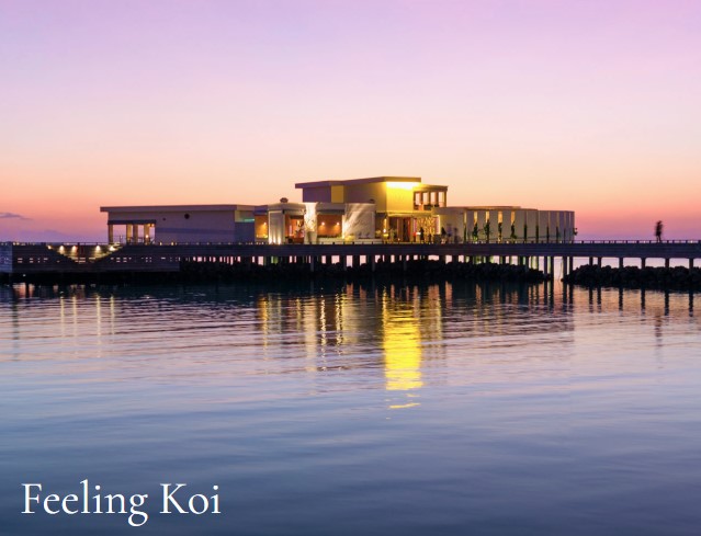 Feeling Koi 水上餐廳